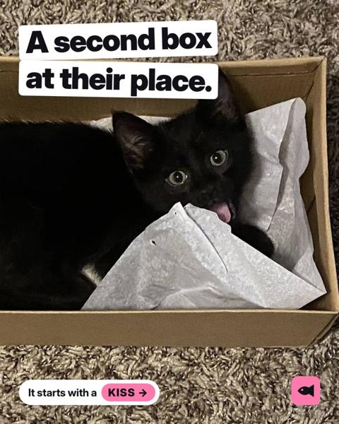 Post: A second box at their place